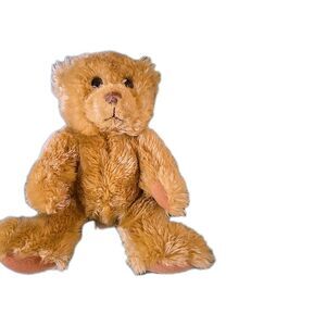 It's All Greek to Me Devon Bear Plush Stuffed Animal   9" Brown Soft Pre-owned